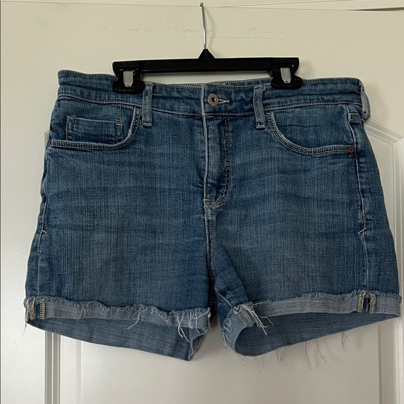 Pilcro and the Letterpress Pants - Pilcro and the Letter Press | (29) Slim Boyfriend Denim Shorts
